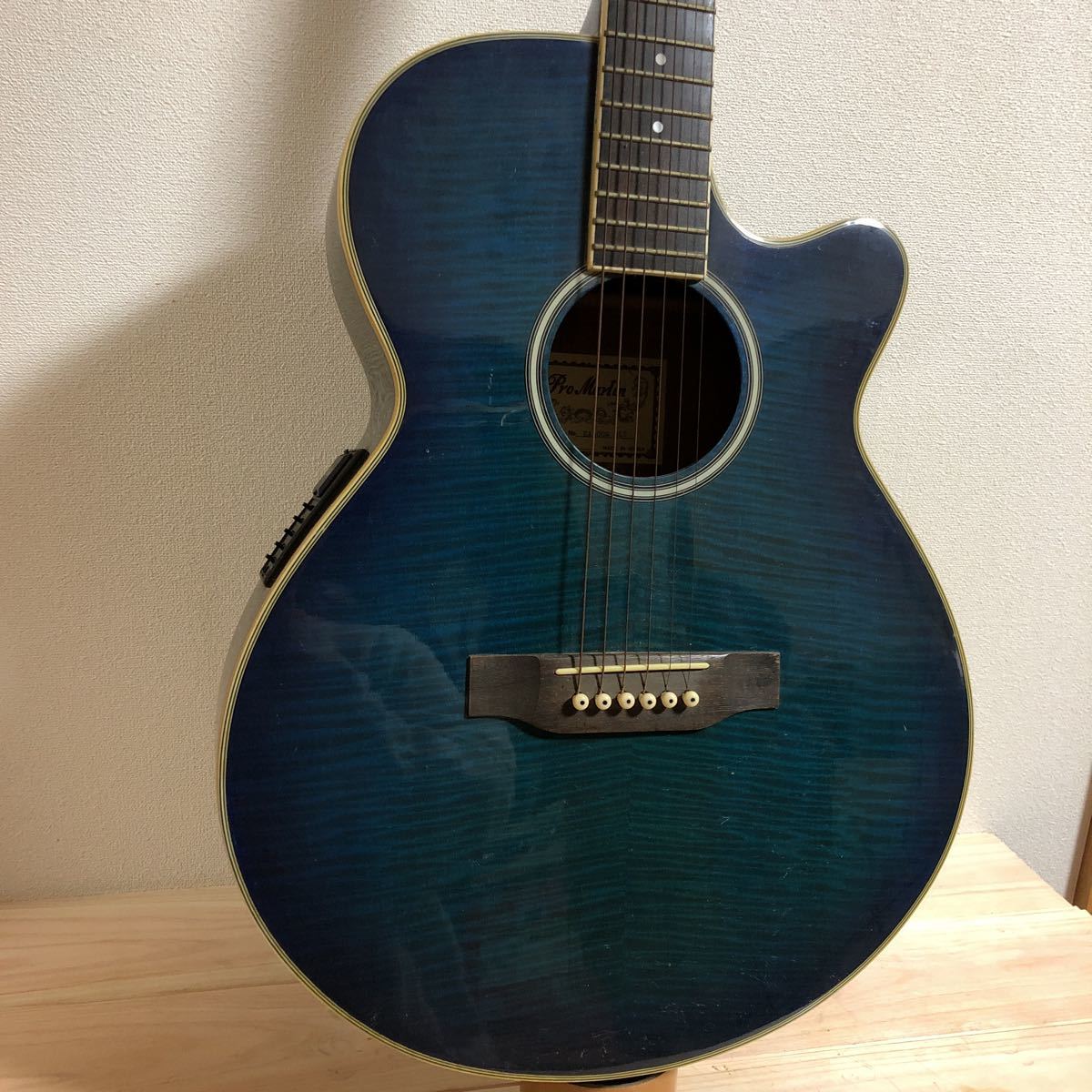 エレアコ Martin Pro pro EA450BLS CUSTOM ProMartin カスタム プロ 