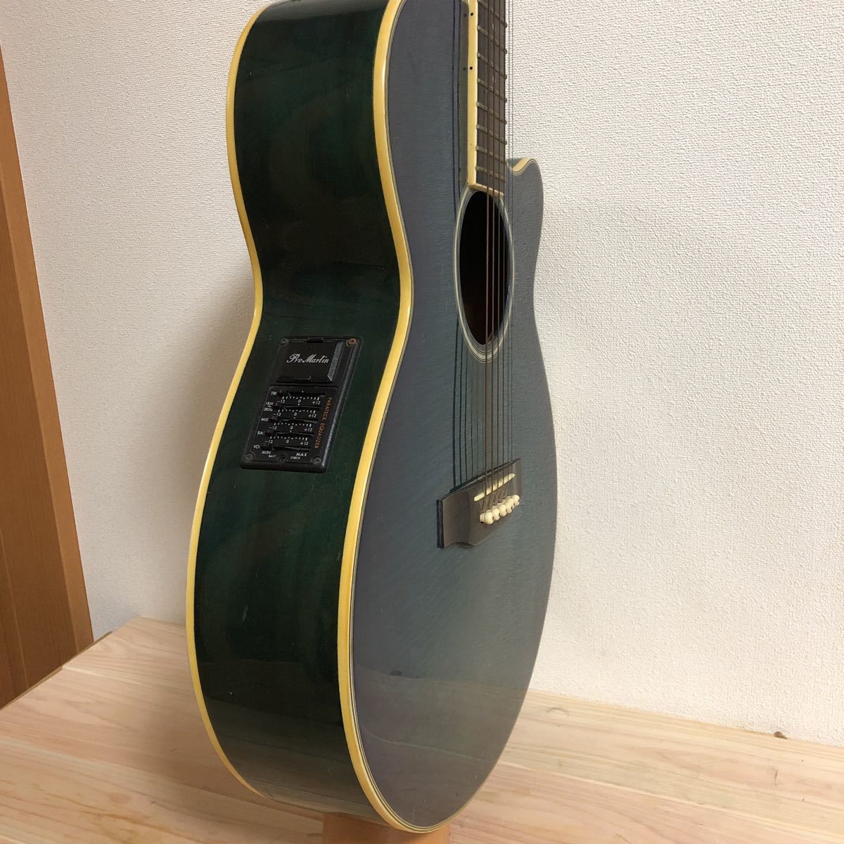 エレアコ Martin Pro pro EA450BLS CUSTOM ProMartin カスタム プロ 