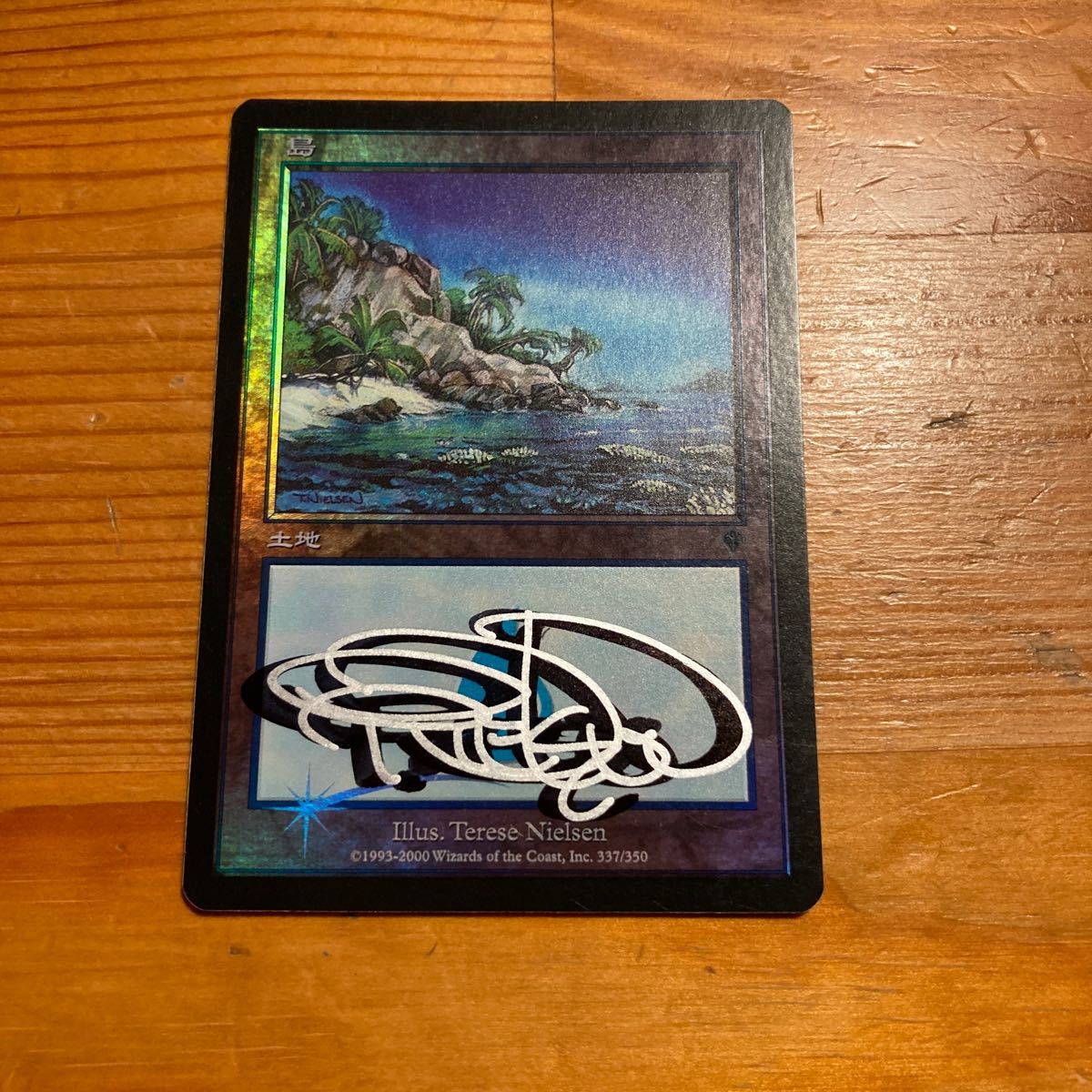 PSA9 島 Terese Nielsen ジャッジ褒章 Terese Nielsen 島 MTGFoil⁄日