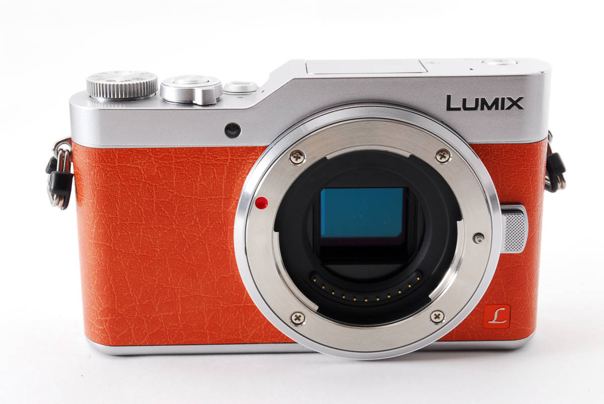 ☆外観美品☆Panasonic LUMIX ルミックス DMC FX66 デジタルカメラ