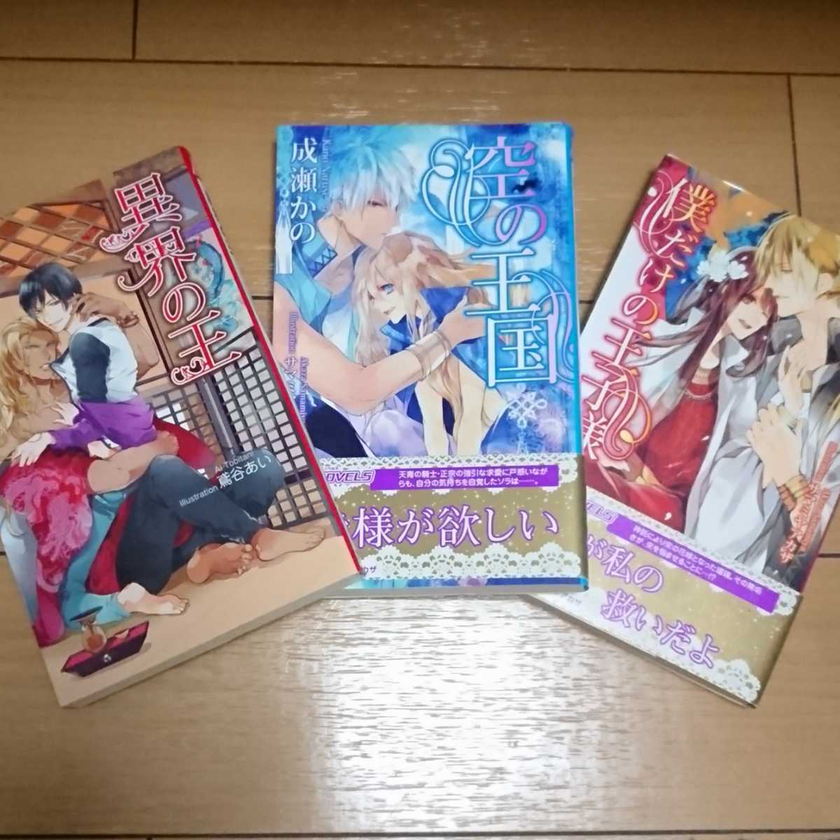 Bl小説 成瀬かの シリーズ3冊セット 新書 ノベルズ 売買されたオークション情報 Yahooの商品情報をアーカイブ公開 オークファン Aucfan Com