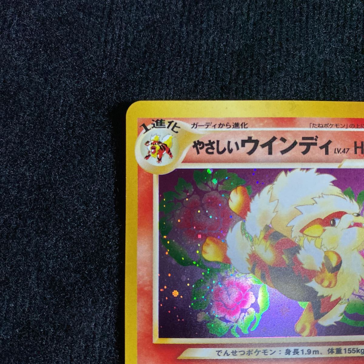ポケモンカード やさしいウインディ旧裏面 1円 ポケモンカード