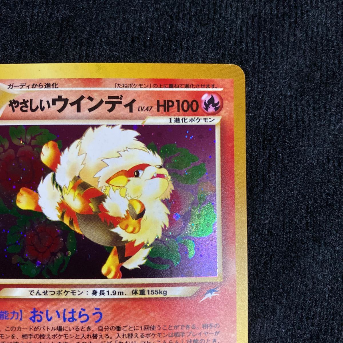 ポケモンカード やさしいウインディ旧裏面 1円 ポケモンカード