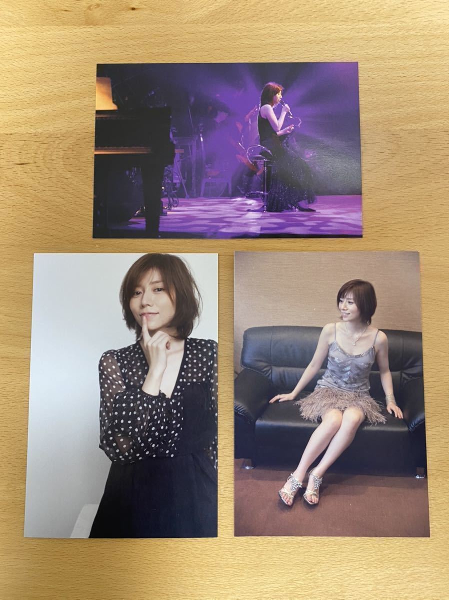 JUN DVD 柴田淳 SHIBATA : 柴田淳オフィシャルウェブサイト - Release
