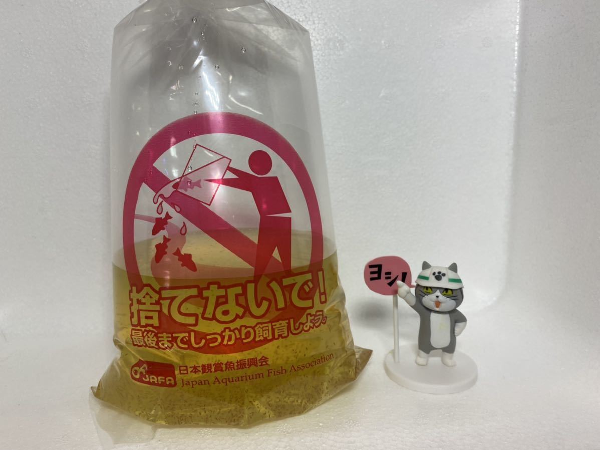 特価タマミジンコ ヤフネコ宅急便６０サイズ メダカ金魚稚魚小型魚全般に生き餌 生クロレラ飼育 甲殻類 売買されたオークション情報 Yahooの商品情報をアーカイブ公開 オークファン Aucfan Com