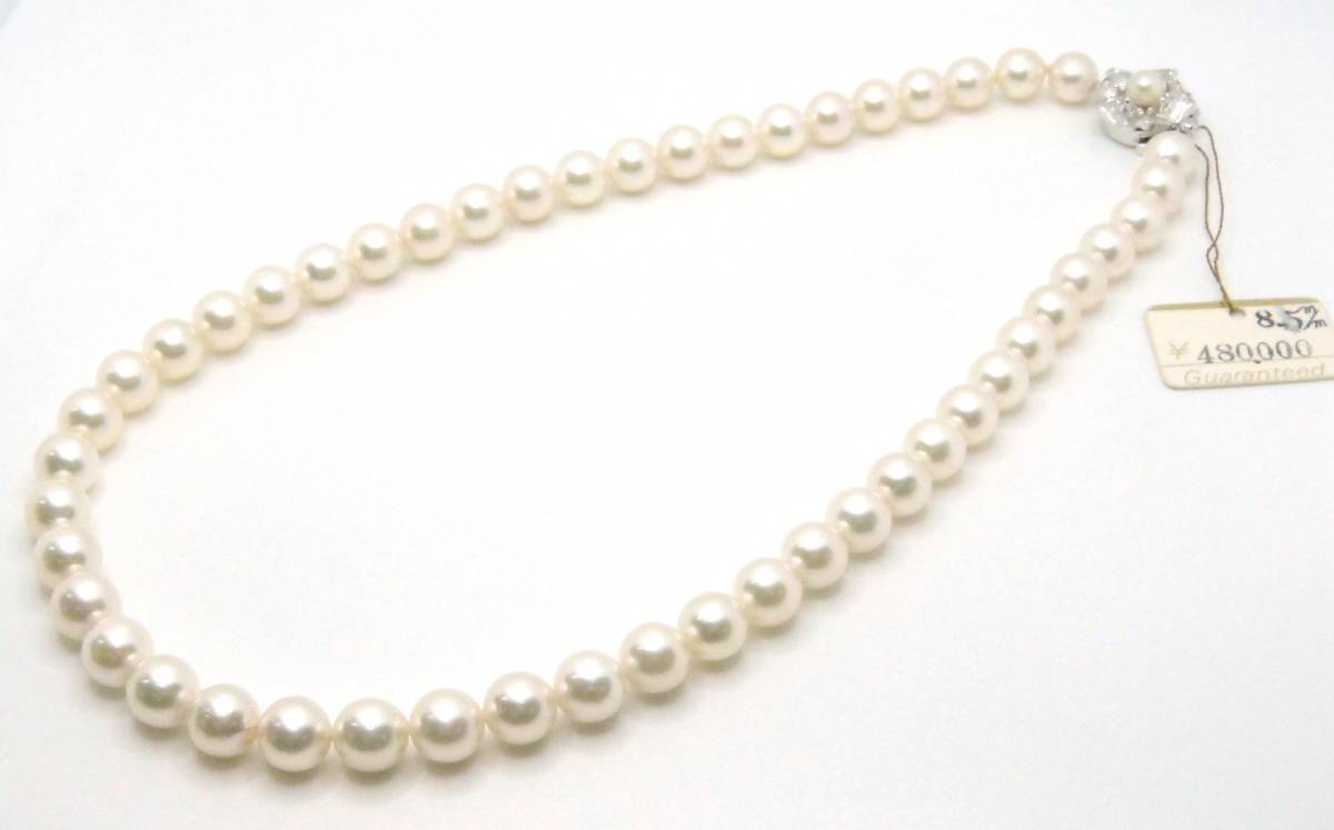 IGA6892】ネックレス 真珠 パール 8.5mm ホワイト クリーム SILVER 