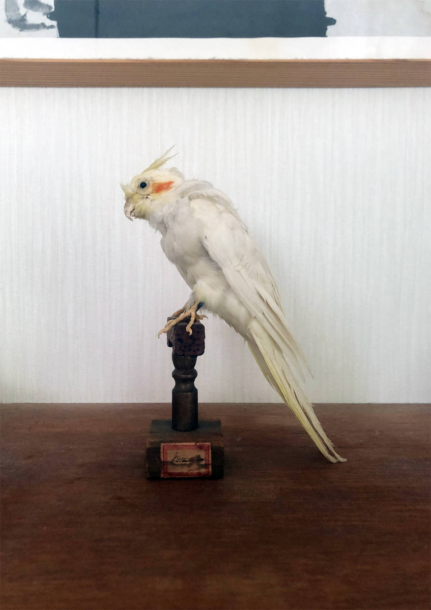オブジェ アンティーク 鳥 置物 ヴィンテージ 小鳥 ウェルカム 英国 庭