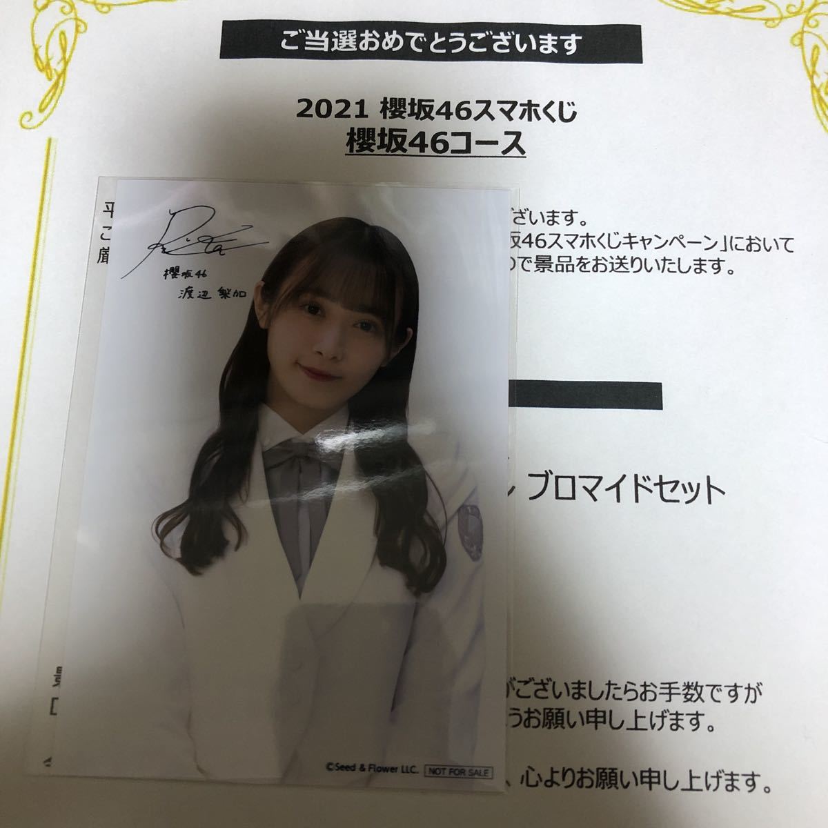 西野七瀬 乃木坂46 直筆サイン 直筆サイン入り生写真 フォトブック