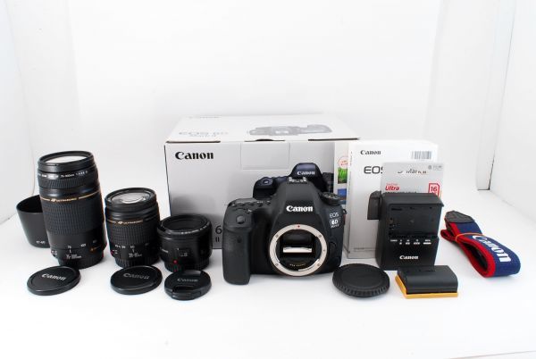 6D Mark EOS Canon II キャノン 標準&望遠ダブルレンズセット