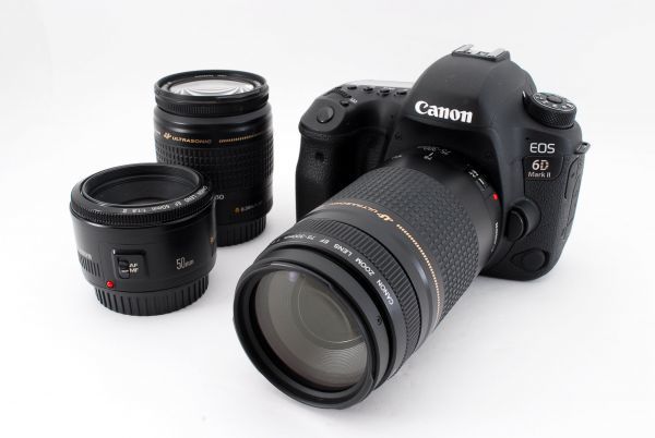 6D Mark EOS Canon II キャノン 標準&望遠ダブルレンズセット