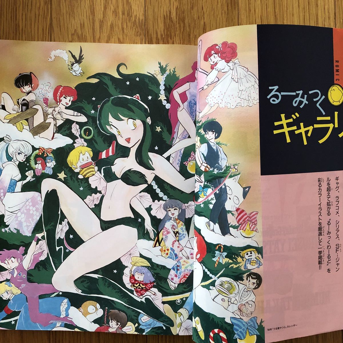 うる星やつら 高橋留美子 少年サンデーグラフィックスペシャル るー