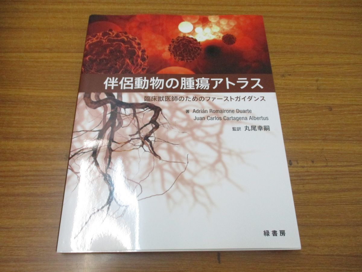 伴侶動物医療部門（犬・猫） 酪農学園大学附属動物医療センター 