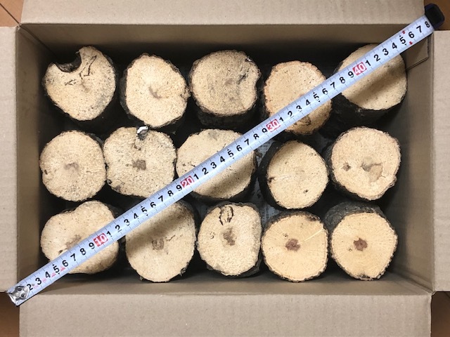 川口商会 三草祭り 最高級ブランド三草クヌギ コナラ飼育産卵木 特価品no22 止まり木 ほだ木 売買されたオークション情報 Yahooの商品情報をアーカイブ公開 オークファン Aucfan Com