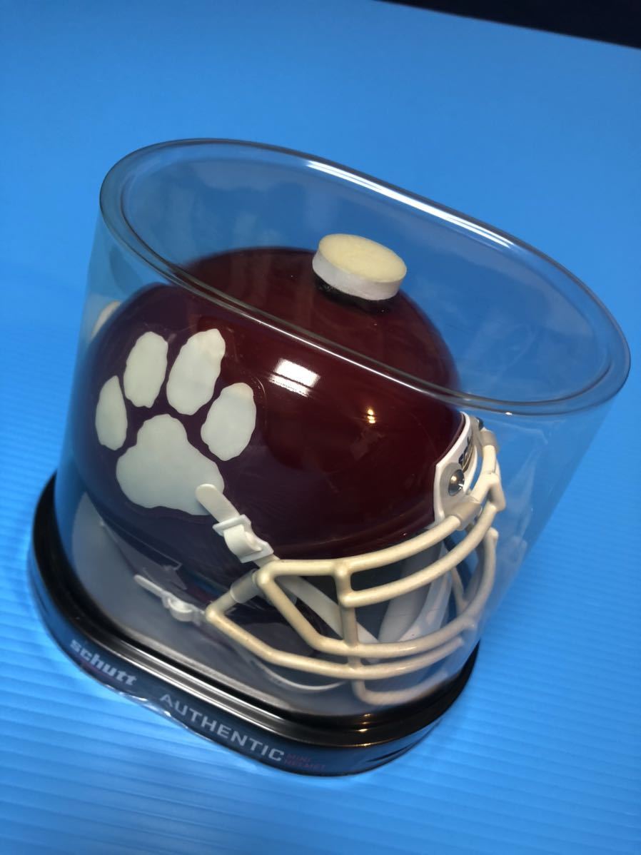 アメフト ヘルメット SCHUTT END 立命館パンサーズ RITSUMEIKAN