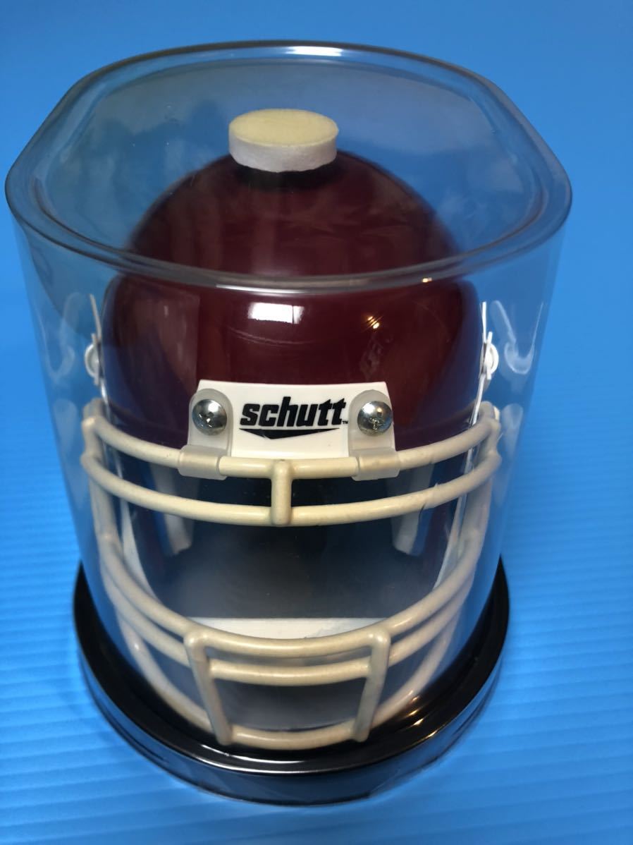 アメフト ヘルメット SCHUTT END 立命館パンサーズ RITSUMEIKAN