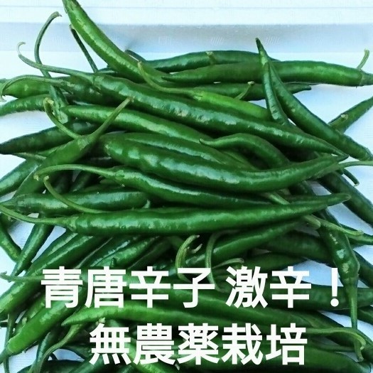青唐辛子 激辛青唐辛子 無農薬栽培の自家製 500g 大分県産 野菜 売買されたオークション情報 Yahooの商品情報をアーカイブ公開 オークファン Aucfan Com 青唐辛子 激辛青唐辛子 無農薬栽培の自家製 500g 大分県産 野菜 売買されたオークション情報 Yahooの商品情報をアーカイブ公開 オークファン Aucfan Com
