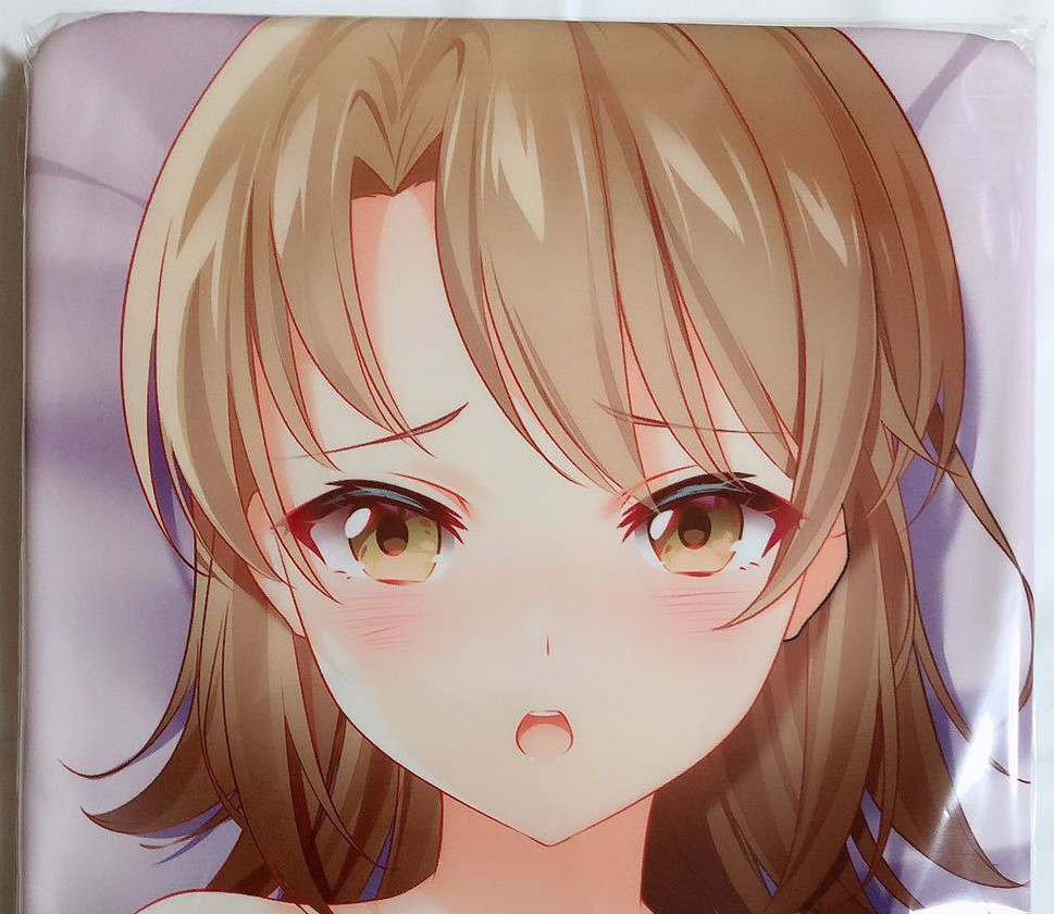 新品，人気 俺ガイル 一色いろは抱き枕カバー B版 Dakimakuri やはり俺の青春ラブコメはまちがっている(抱き枕)｜売買されたオークション情報、yahooの商品情報をアーカイブ公開 - オークファン 抱き枕