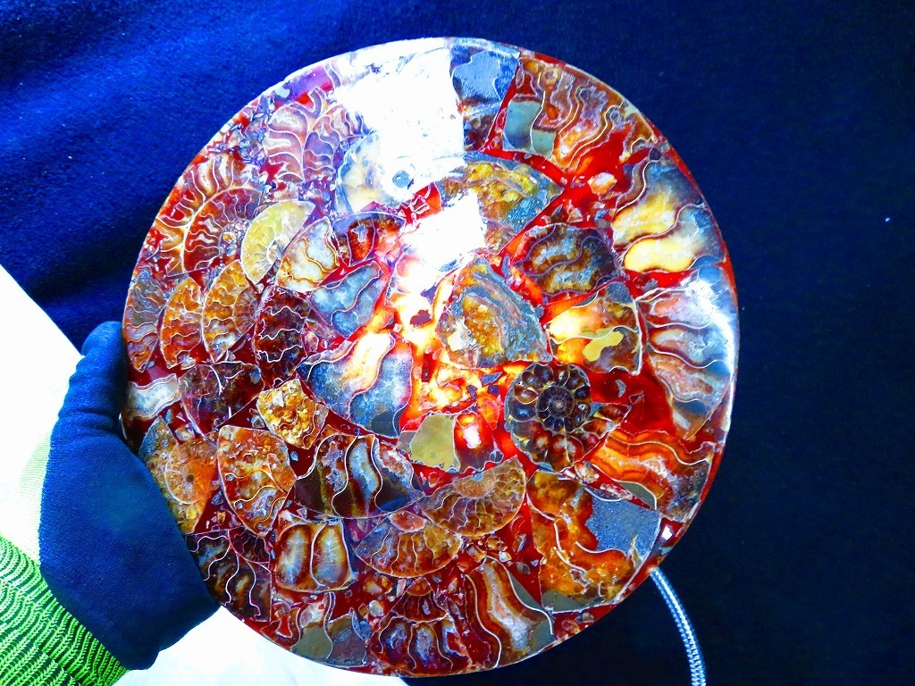 月末限定セール☆極美品☆希少☆アコヤ本真珠二連ネックレス ６.５-７mm 重さ約：2.8kg☆超綺麗☆天然オパール原石164U3-170U182b