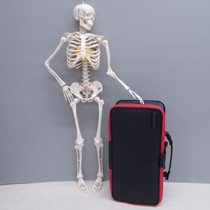 ninja anatomyのYahoo!オークション(旧ヤフオク!)の相場・価格を見る