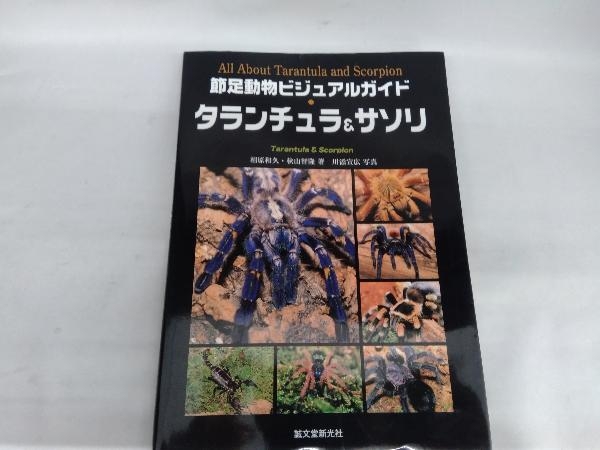 タランチュラ&サソリ 節足動物ビジュアルガイド (節足動物