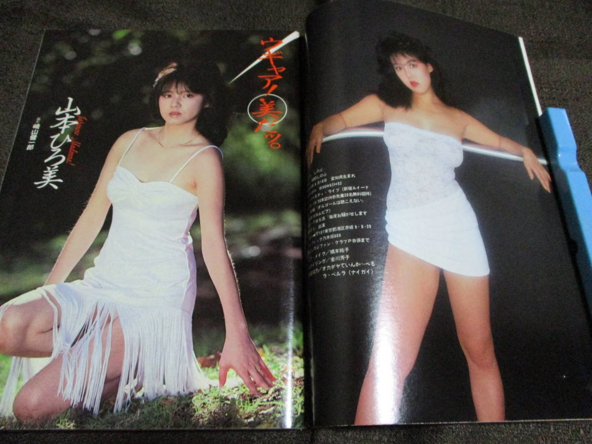 週刊プレイボーイ 1985年 8.13」昭和60年／堀江しのぶ 山本ひろ美 川島