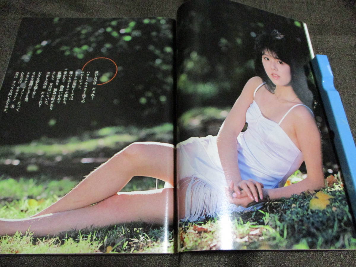 週刊プレイボーイ 1985年 8.13」昭和60年／堀江しのぶ 山本ひろ美 川島