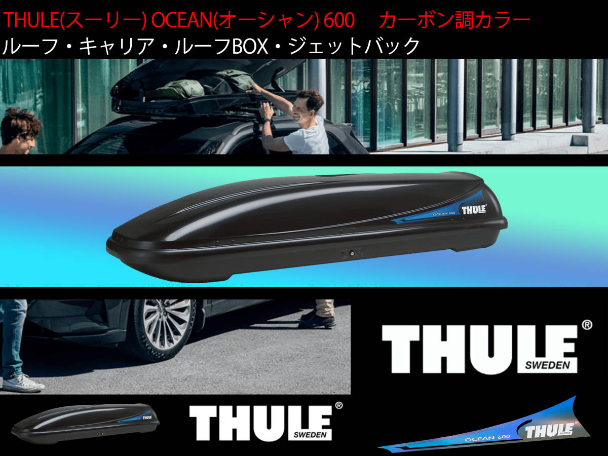 限定セール，正規品 カーボン調 ルーフボックス THULE スーリー OCEAN 600 オーシャン ルーフBOX ジェットパック スキー スノーボード スキーボード(スキーキャリア、スノーボードキャリア)｜売買されたオークショ スキーキャリア、スノーボードキャリア