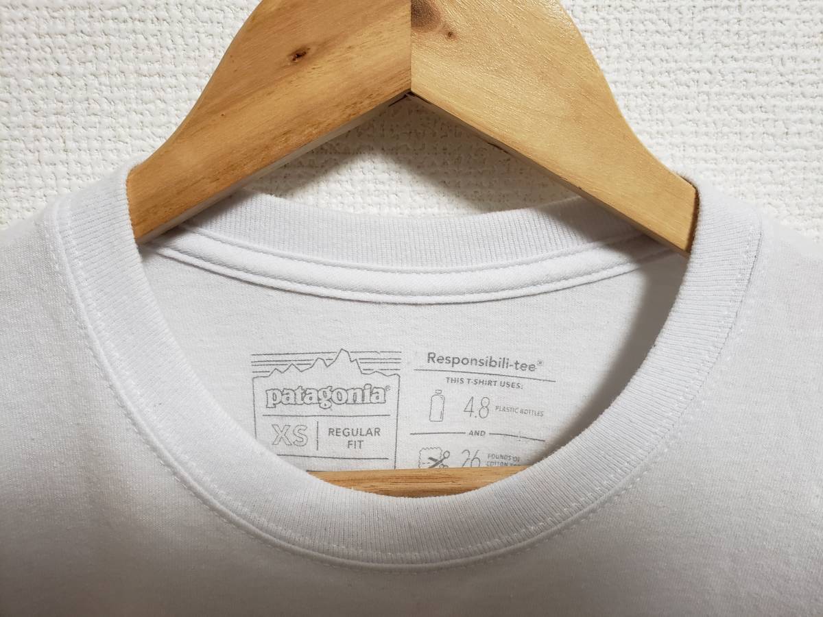 Patagonia/パタゴニア/L/S Fish Native World Trout Responsibili Tee