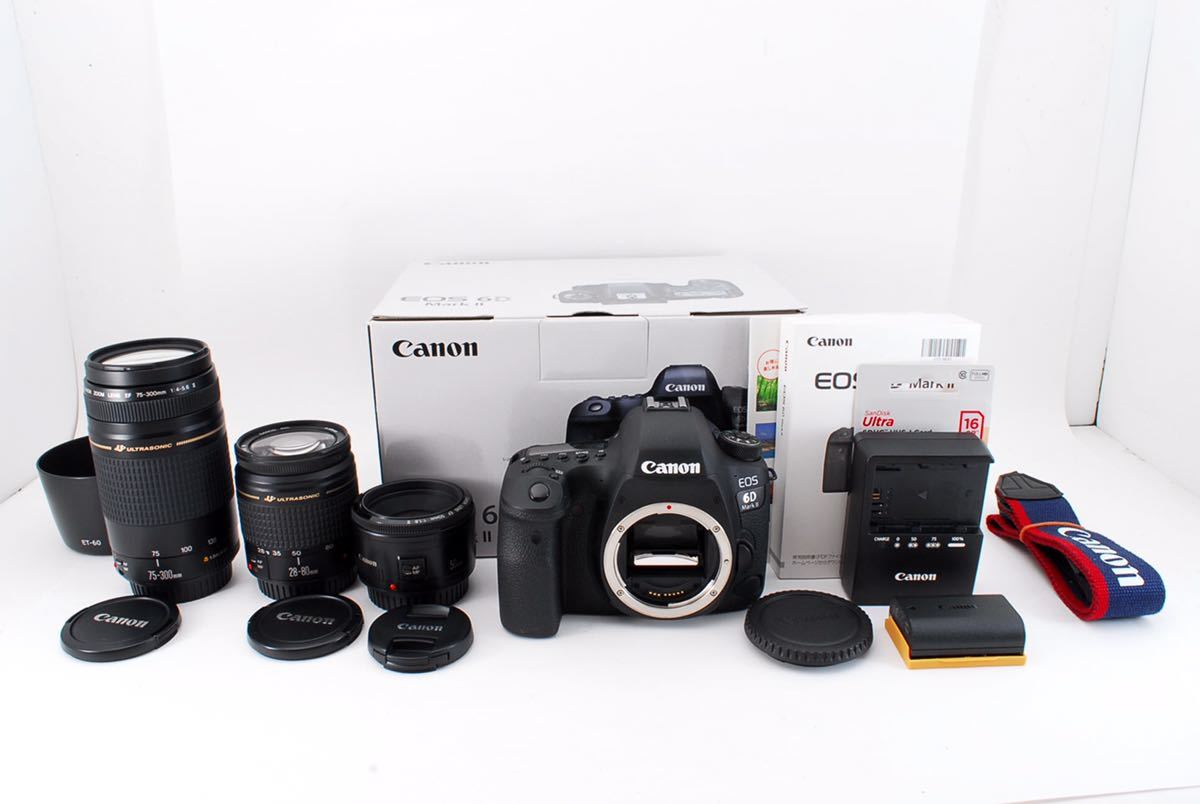 キャノン Canon EOS 6D mark II 標準&望遠&単焦点トリプルレンズセット 