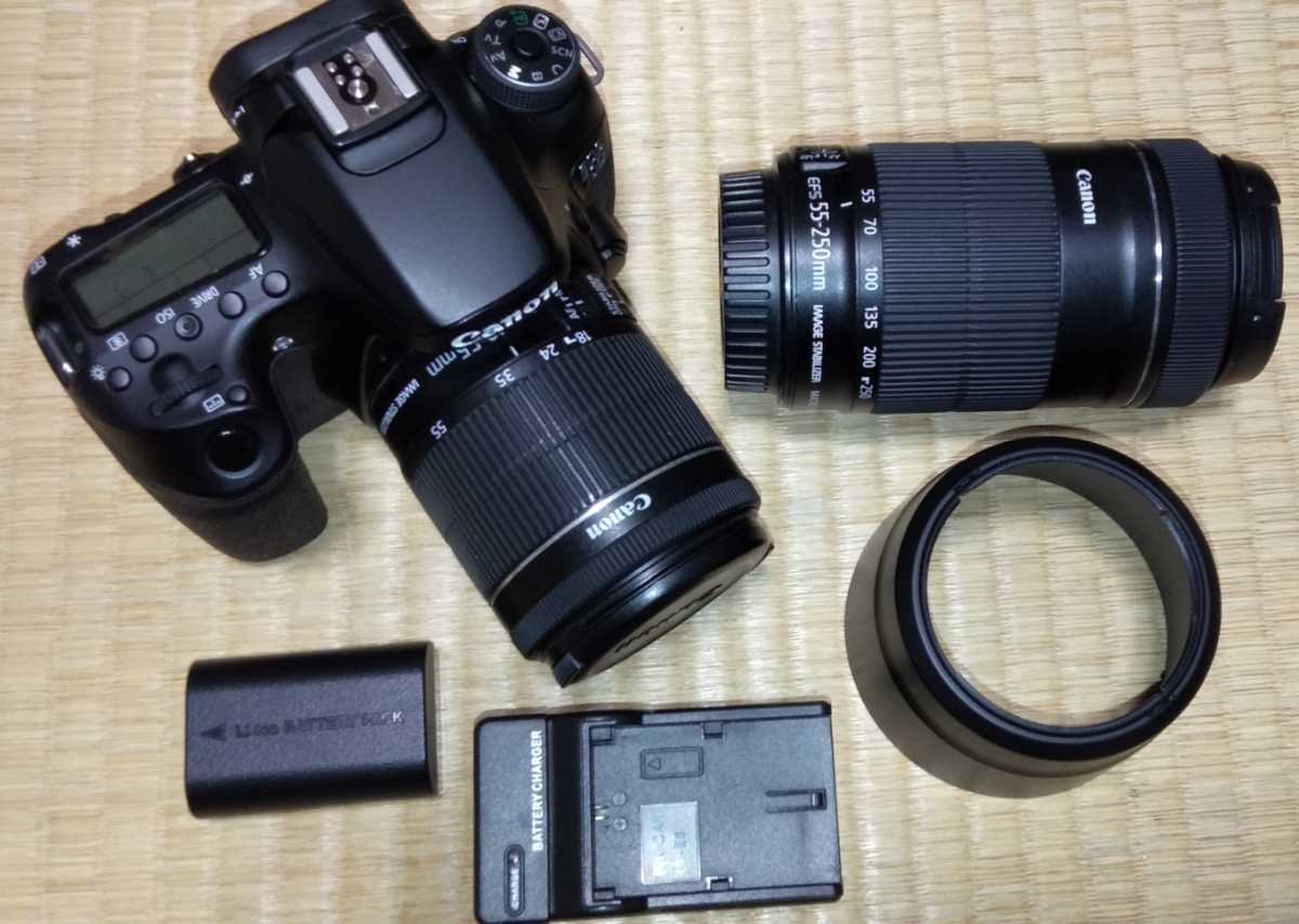 Canon 55-250mm STM EF-S IS EOS 70D + Lens Review f⁄4-5.6