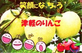  家庭用 きおう 10キロ入り 36個入れ(リンゴ)｜売買されたオークション情報、yahooの商品情報をアーカイブ公開 - オークファン リンゴ