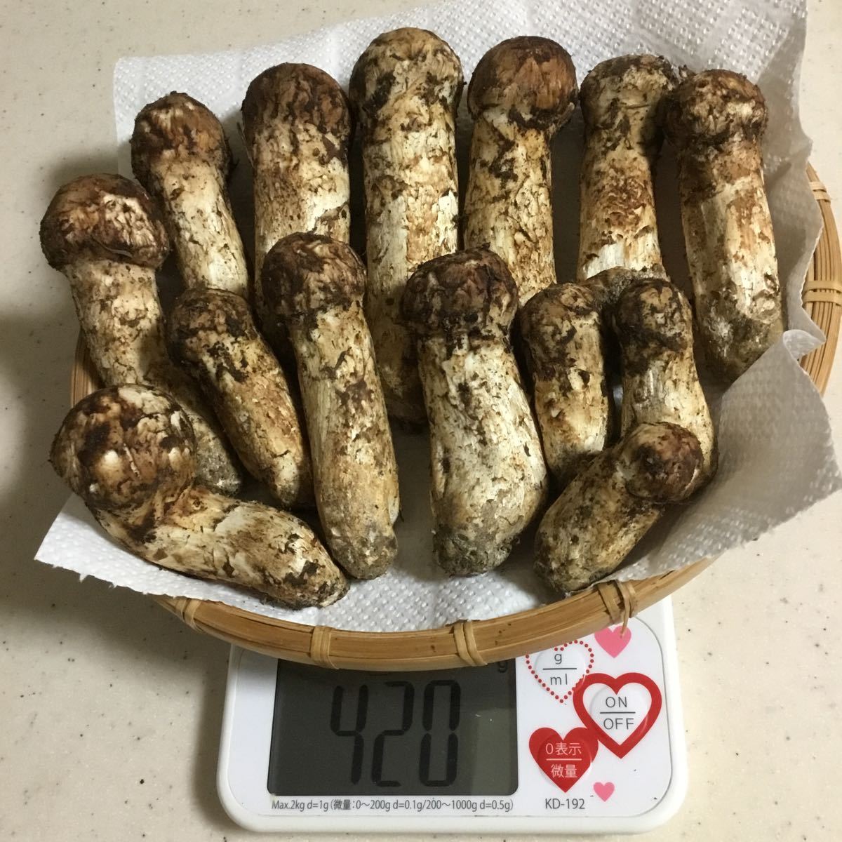 松茸の通販 県 信州産「天然松茸」（約400g⁄4～16本） 野菜 きのこ 