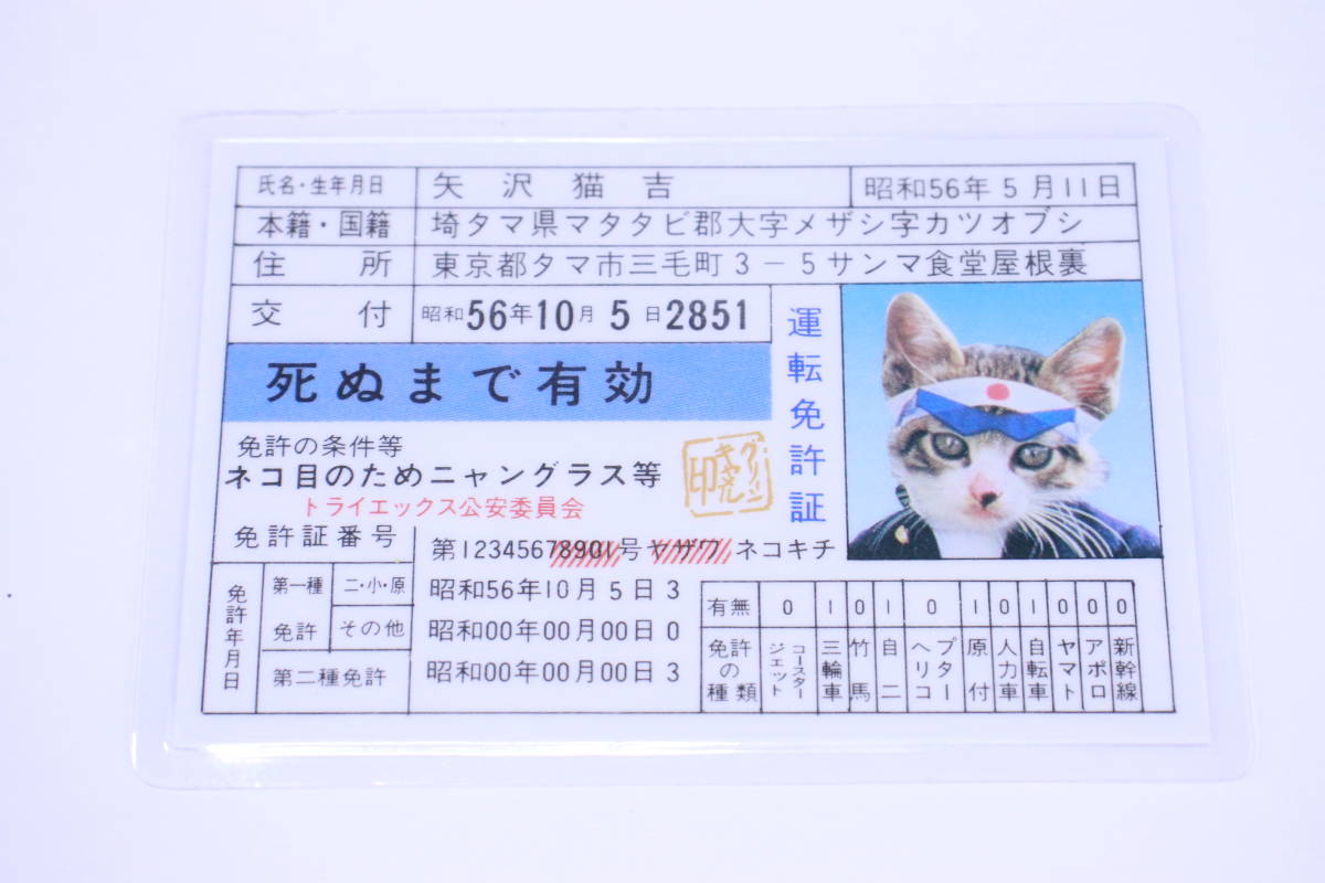 なめんなよ なめるなよ カード2枚セット なめ猫免許証 昭和56年製 コレクターアイテム 当時もの T0149 雑貨 売買されたオークション情報 Yahooの商品情報をアーカイブ公開 オークファン Aucfan Com