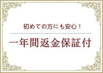 ワルボロWT・WTA系 キャブレター修理用 ダイヤフラムセット 刈払機 草刈機用 互換品 修理部品 17個パーツ入り (1)_7