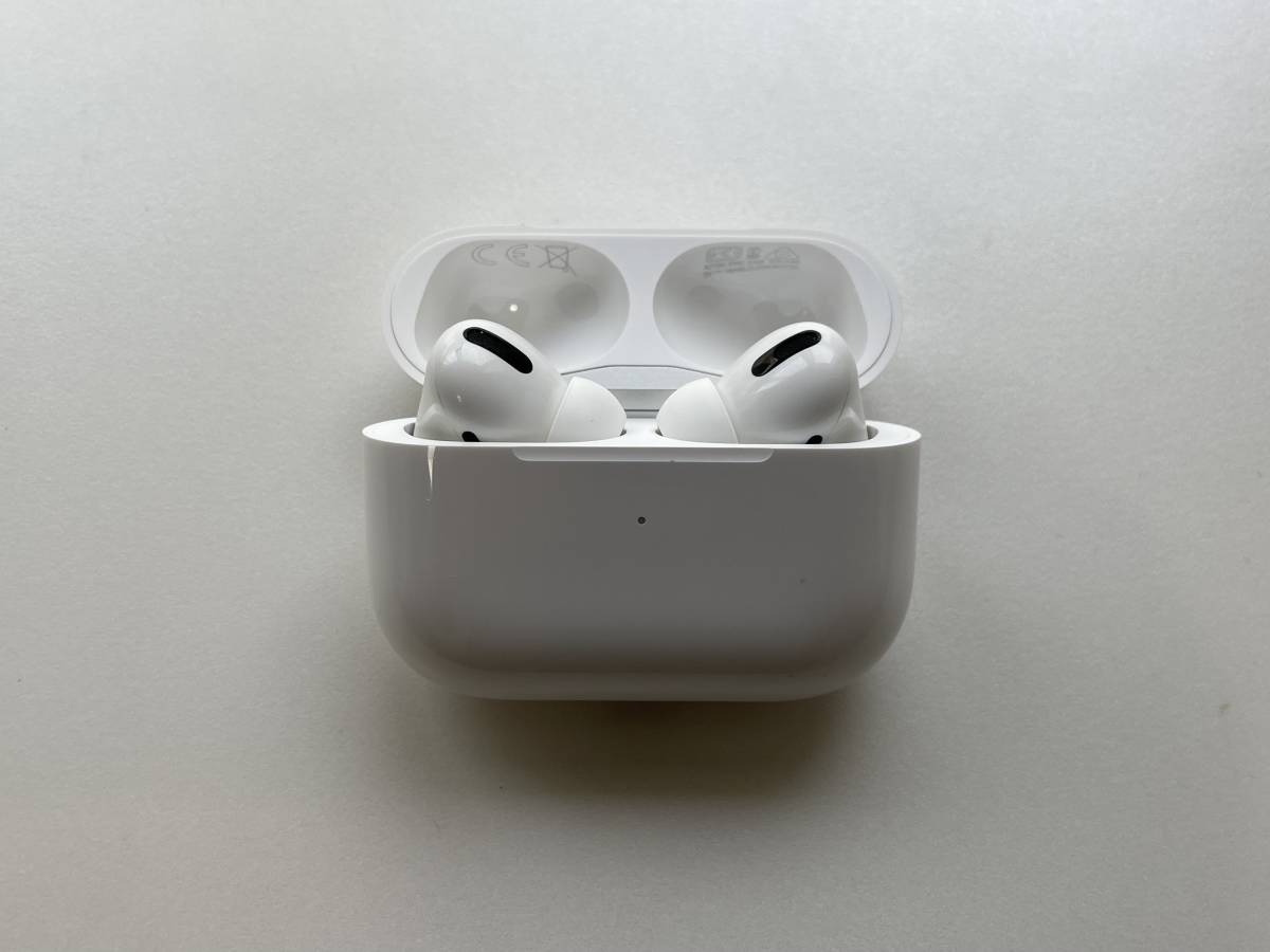 Apple AirPods Pro MWP22J/A 右耳 充電ケース 【公式通販】
