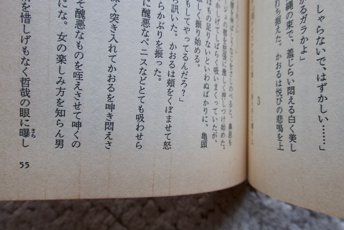 続・蒼眸の悪魔 淫の小部屋 (日本出版社) 千草忠夫 平成6年4刷(た行