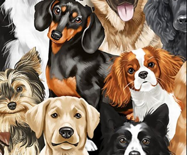 残りわずか Usaコットン Good Boy おしゃれなワンちゃんの記念撮影 おすましポーズ 犬 １１０ｃｍｘ４５ｃｍ その他 売買されたオークション情報 Yahooの商品情報をアーカイブ公開 オークファン Aucfan Com