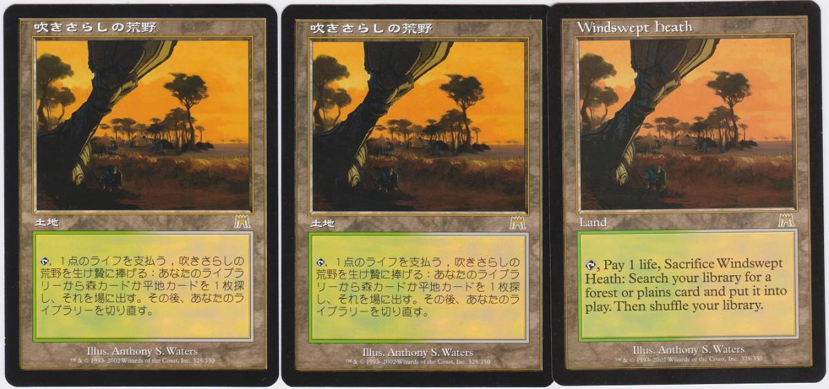 MTG 吹きさらしの荒野 Windswept Heath 日本語版 2枚セット MTG 吹きさらしの荒野 Windswept Heath 日本語版 2枚セット 吹きさらし