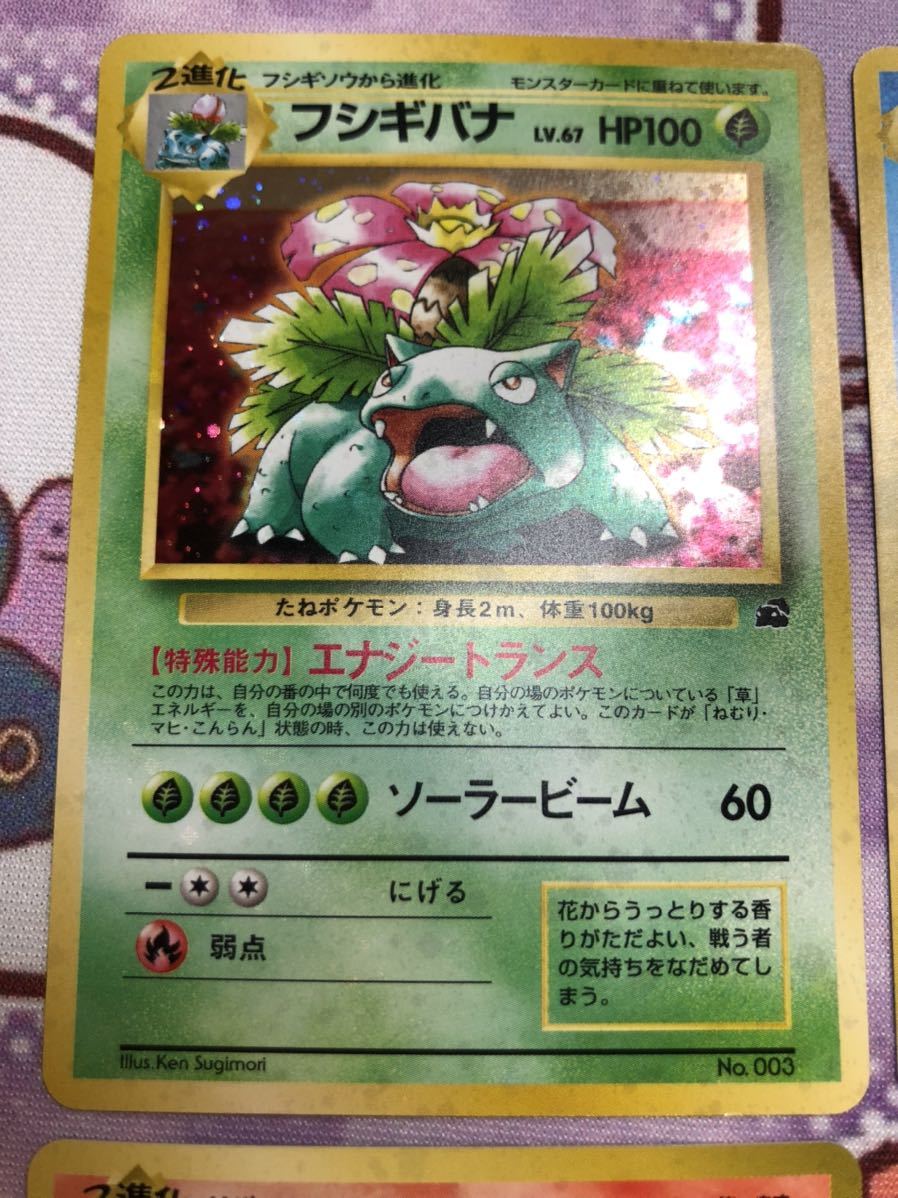 33 割引ブルー系今季一番 ポケモンカード 旧裏 リザードン ファイヤーレイズ フシギバナ イントロパック等 ポケモンカードゲーム トレーディングカードブルー系 App Tabbiemath Com