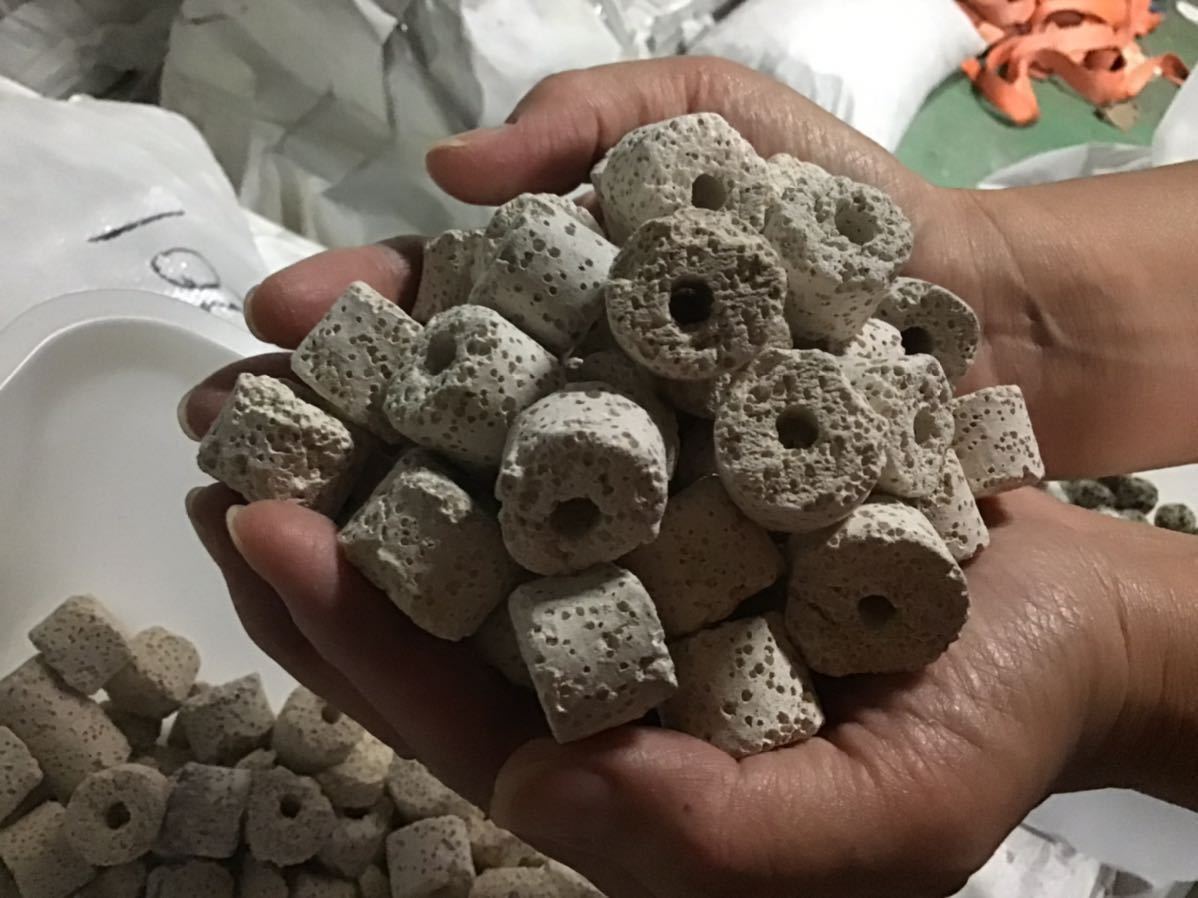 大型水槽専門 なら水槽マニア 大粒 多孔質リングろ材 送料着払発送のみ対応 キロ ろ材 売買されたオークション情報 Yahooの商品情報をアーカイブ公開 オークファン Aucfan Com