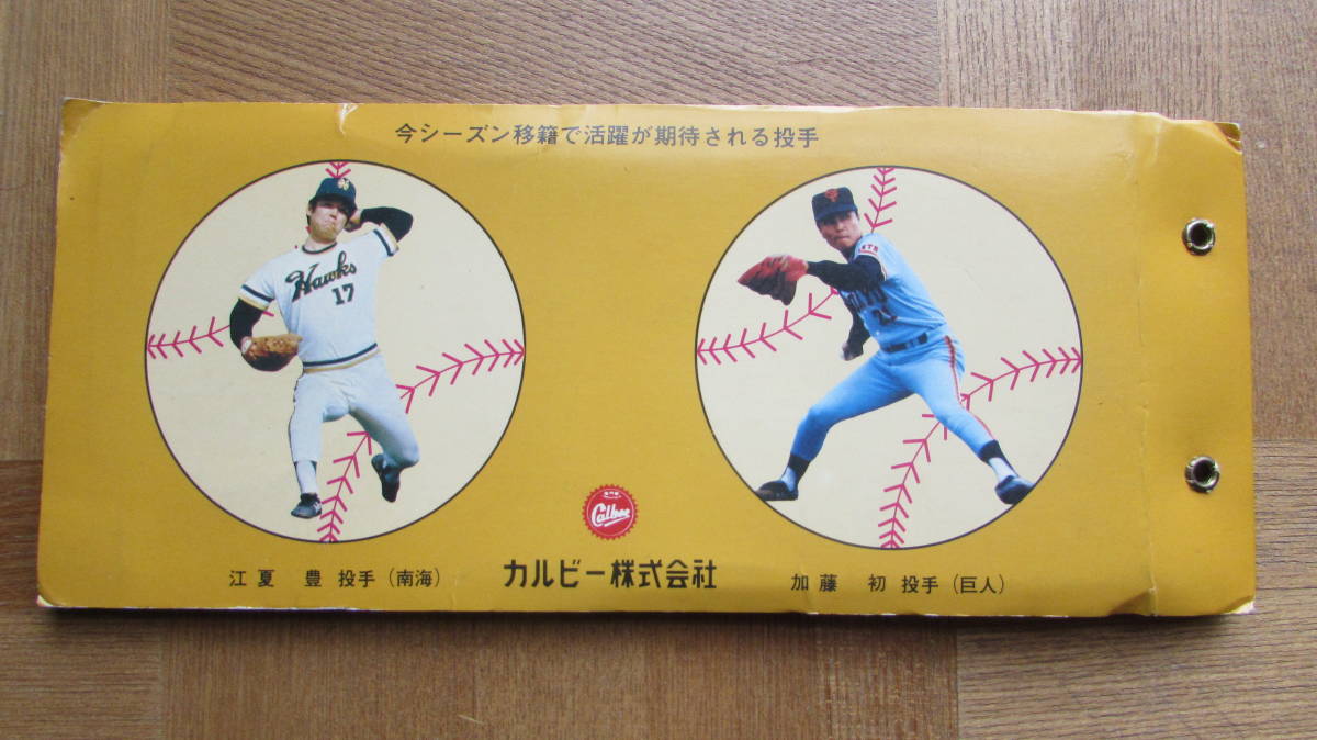 カルビー 1976年 ベースボールカードアルバム 王貞治 後楽園球場 人工 