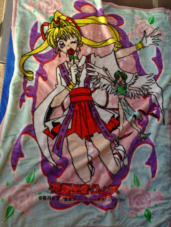 平和屋着物□夏物 太鼓柄袋帯 明綴れ 飾花文 金銀糸 逸品 km945