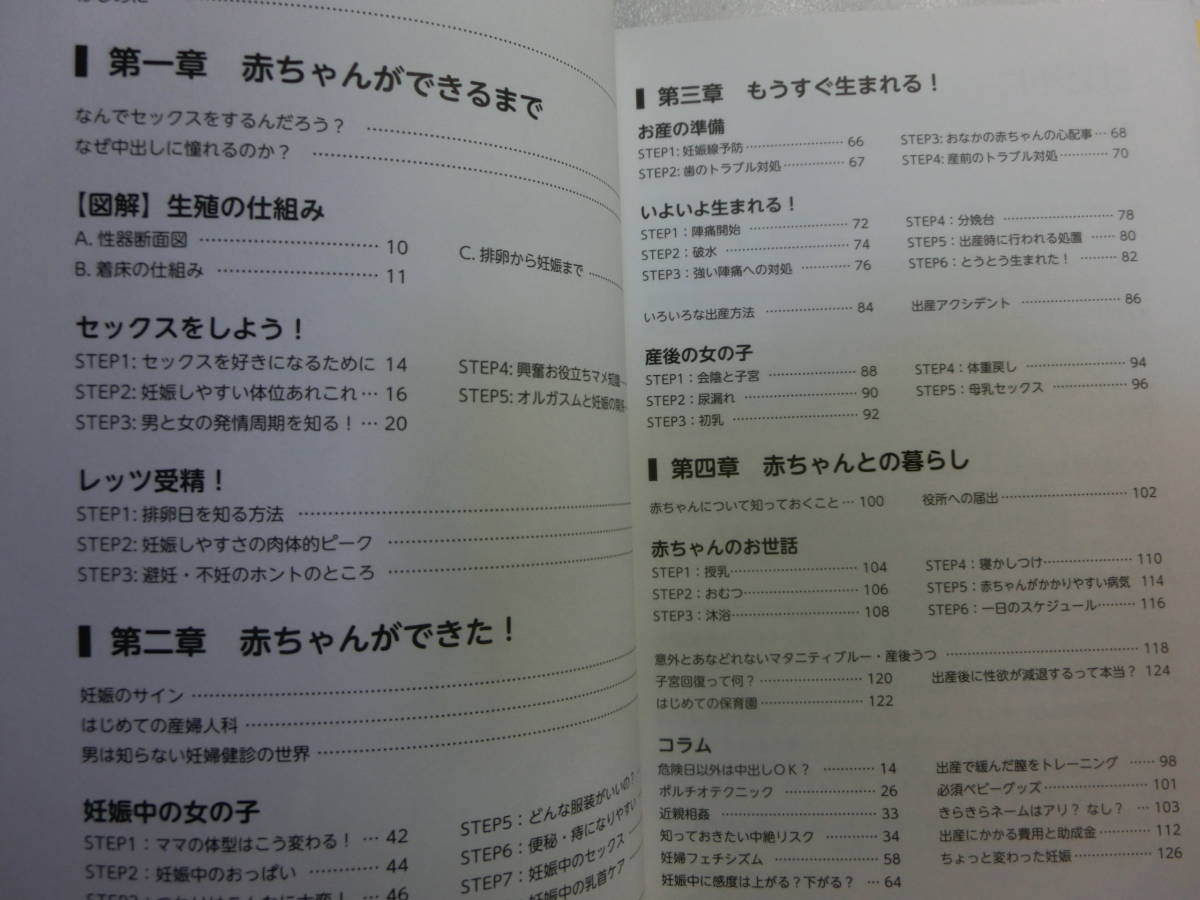 やらなくてもまんが 解る性交と妊娠 赤ちゃんのつくり方 Rie ありまなつぼん 子作りを学ぶ知的探求マニュアル 妊娠 出産 売買されたオークション情報 Yahooの商品情報をアーカイブ公開 オークファン Aucfan Com