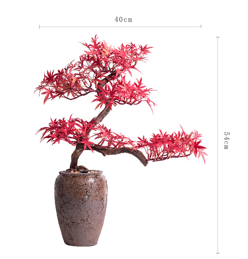 t1020048930.9
