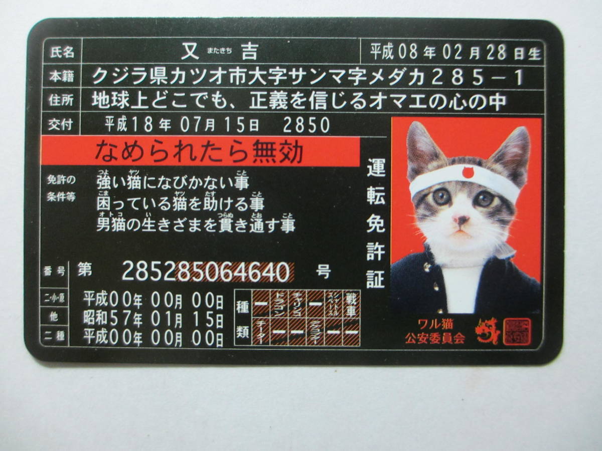 なめんなよ なめ猫 パロディカード 免許証 又吉 ブラックカード ワル その他 売買されたオークション情報 Yahooの商品情報をアーカイブ公開 オークファン Aucfan Com