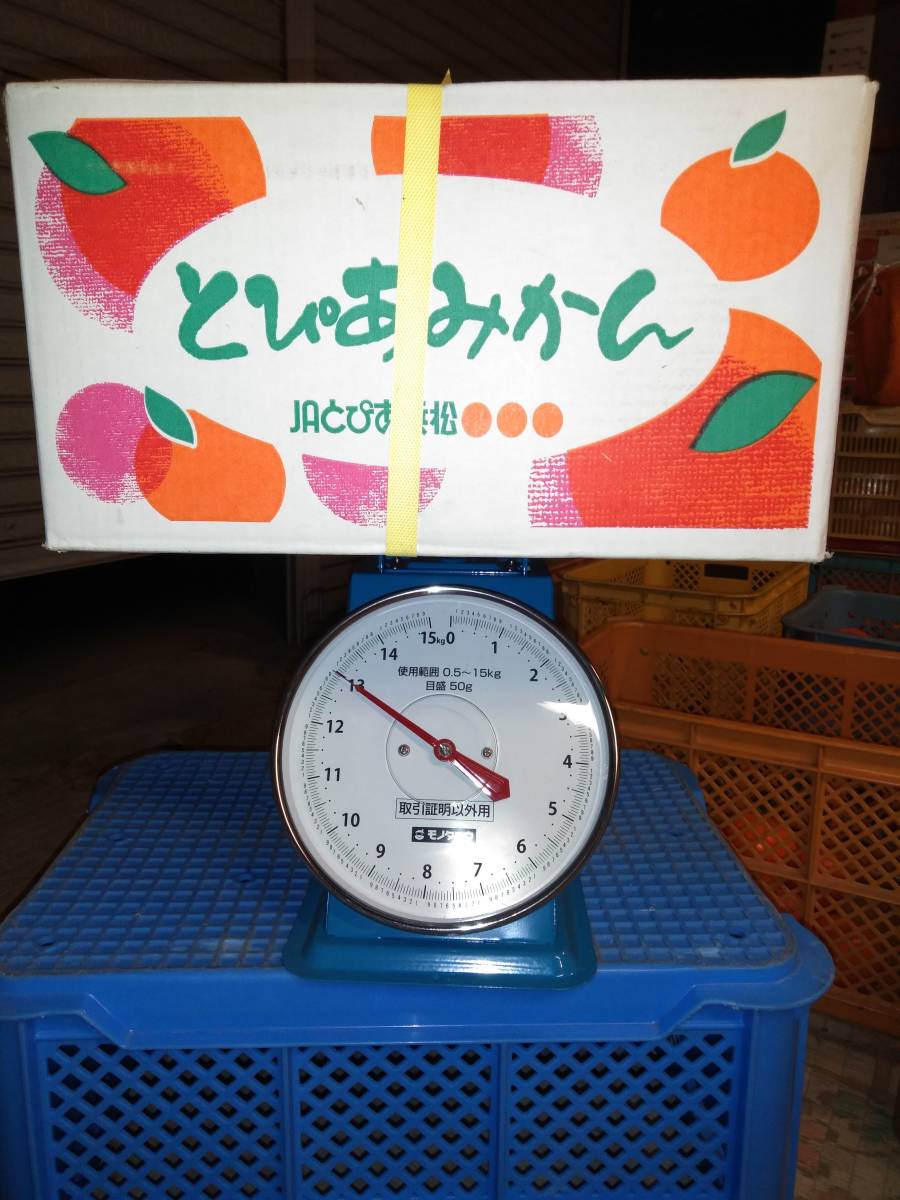富有柿 | 2L 等級青秀以上 2Lサイズ 13.5ｋｇ！『柿の王様』岐阜県本巣市産☆富有柿☆（旧糸貫 『柿の王様』岐阜県本巣市産☆富有柿☆（旧糸貫町）家庭用柿、みかん箱にパンパンL～５Lサイズ（今なら3L4L中心、１3Kg以上）R3-H19