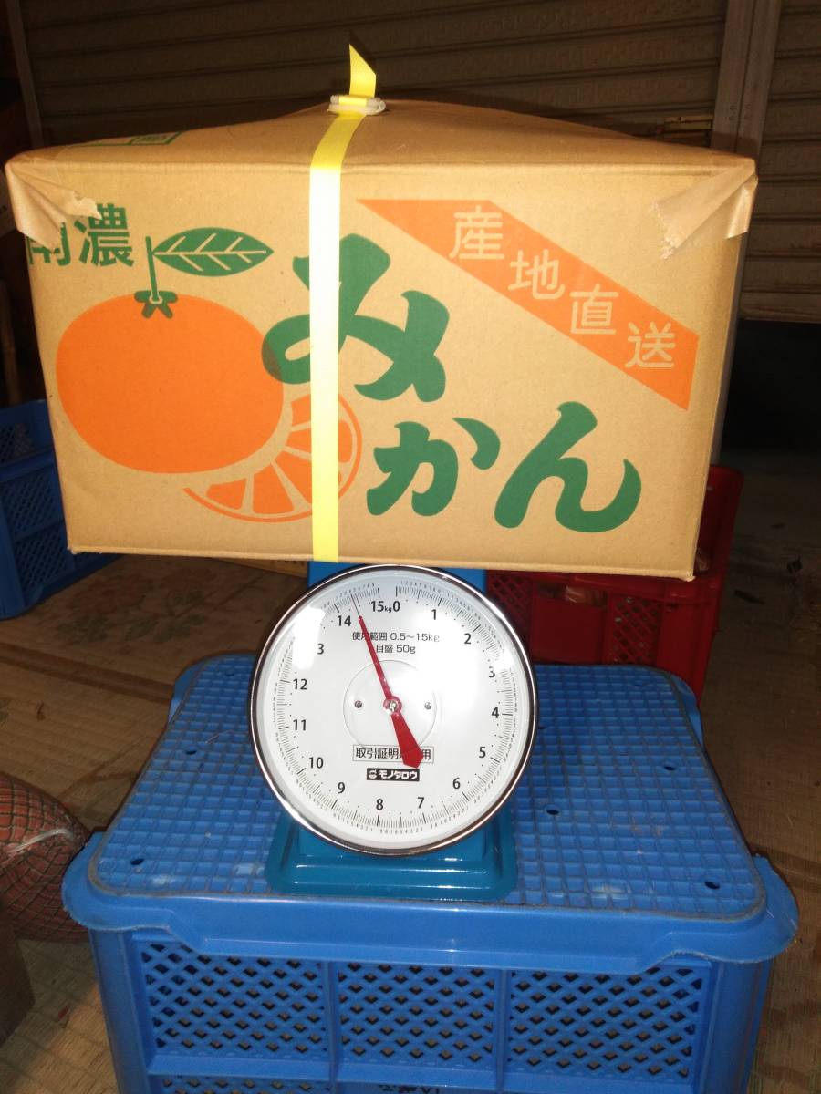 富有柿 | 2L 等級青秀以上 2Lサイズ 13.5ｋｇ！『柿の王様』岐阜県本巣市産☆富有柿☆（旧糸貫 『柿の王様』岐阜県本巣市産☆富有柿☆（旧糸貫町）家庭用柿、みかん箱にパンパンL～５Lサイズ（今なら3L4L中心、１3Kg以上）R3-H19