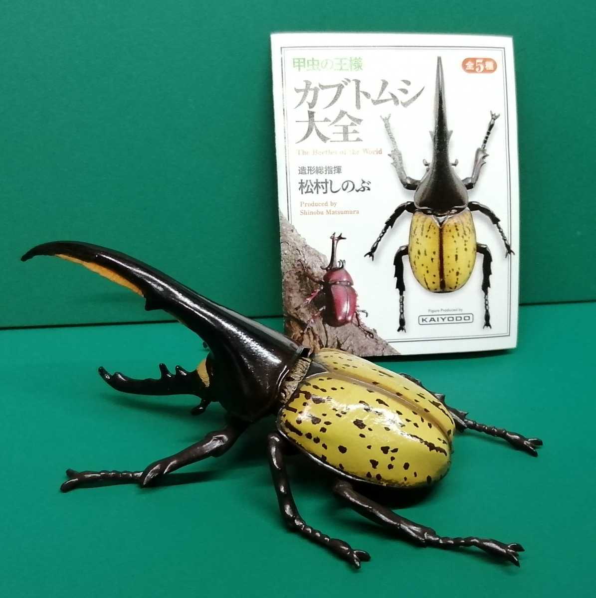 ヘラクレスオオカブト 黄翅 フィギュア 海洋堂 カプセルQ ミュージアム