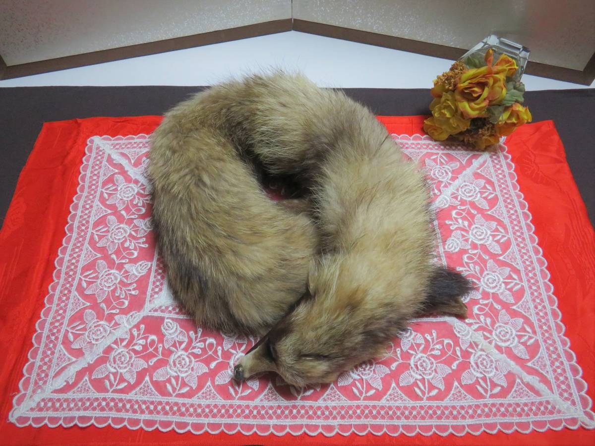 使用わずか品 キツネ 襟巻き 1点 狐 しっぽ 毛皮 ショール 和装 洋装 フォックス 売買されたオークション情報 Yahooの商品情報をアーカイブ公開 オークファン Aucfan Com