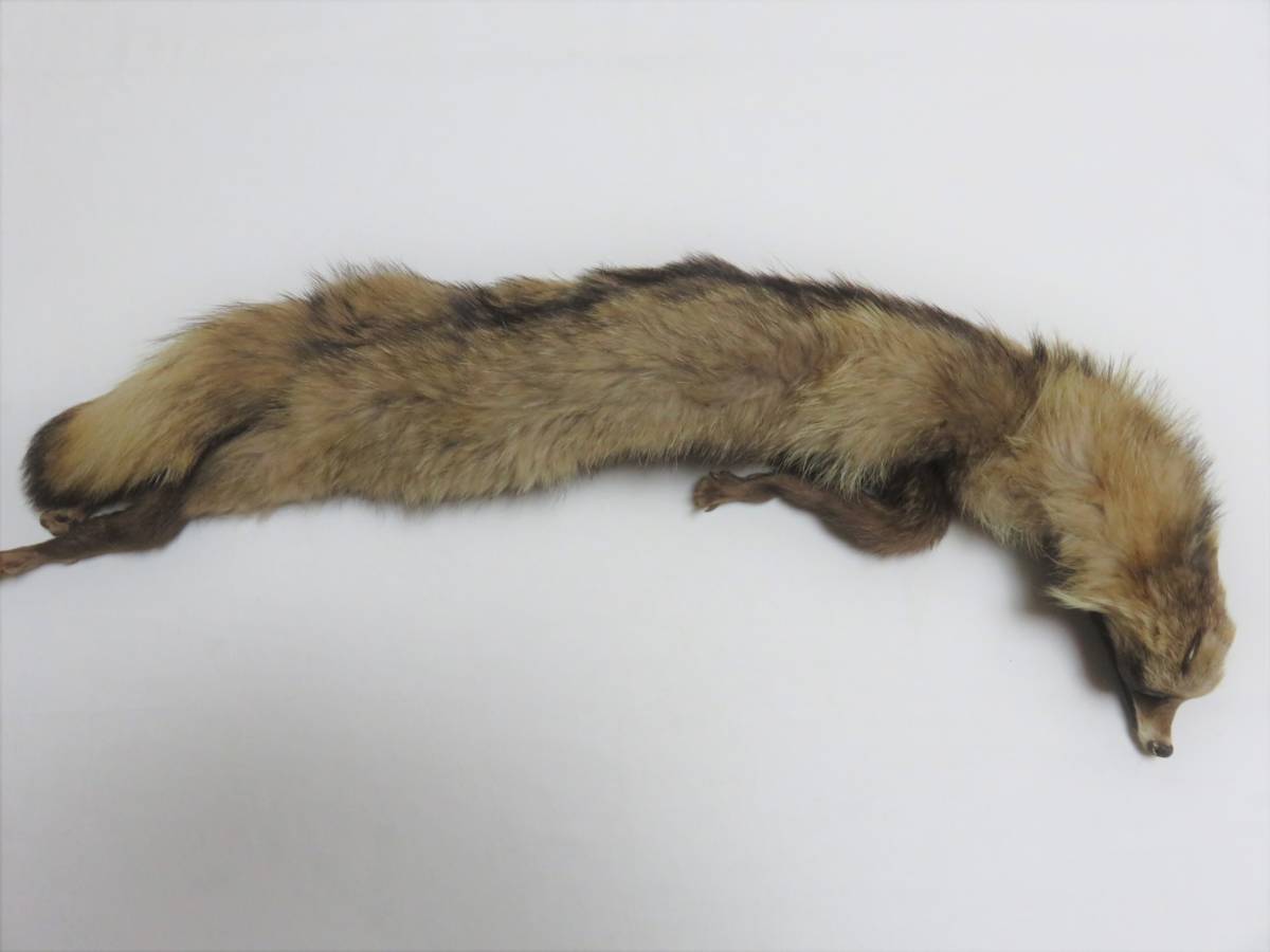 使用わずか品 キツネ 襟巻き 1点 狐 しっぽ 毛皮 ショール 和装 洋装 フォックス 売買されたオークション情報 Yahooの商品情報をアーカイブ公開 オークファン Aucfan Com